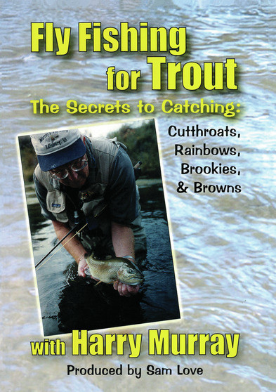 FlyFishing For Trout