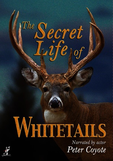 Secret Life of Whitetails, The