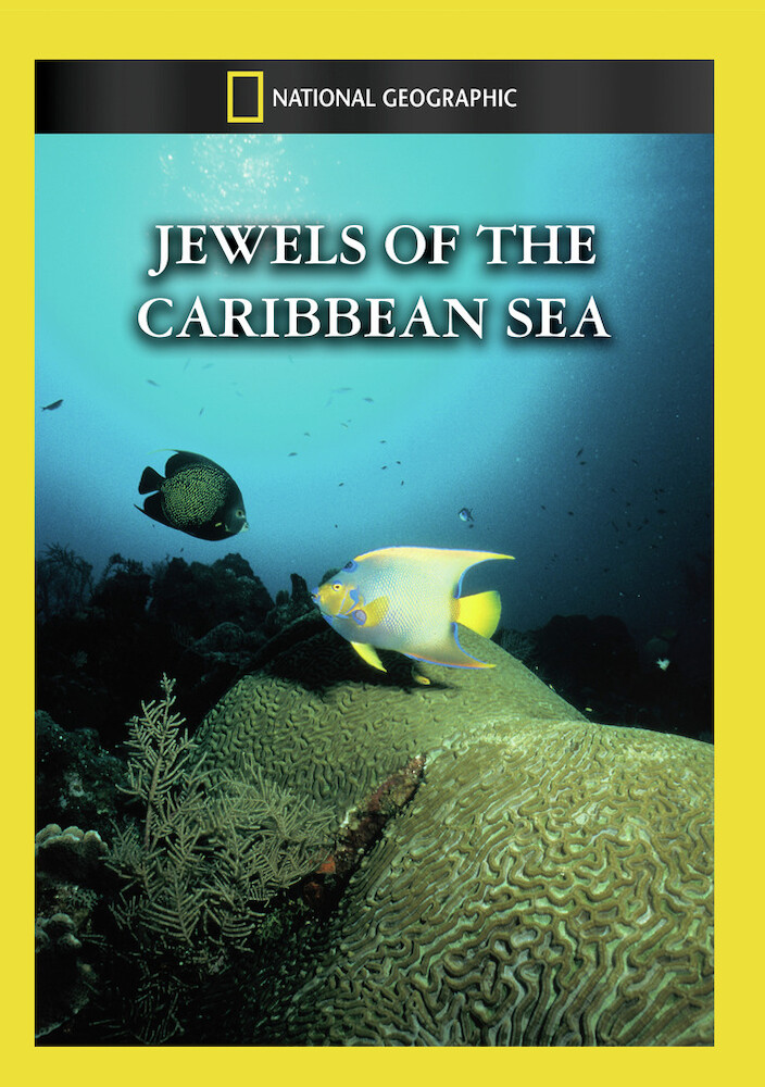 Jewels Of The Caribbean Sea
