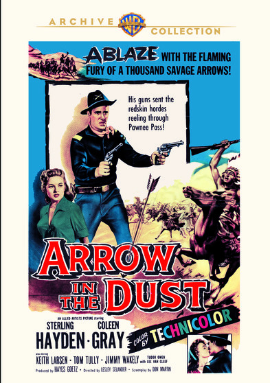 Arrow In The Dust