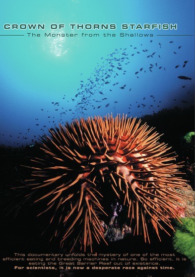 Crown of Thorns Starfish: Monster from the Shallows