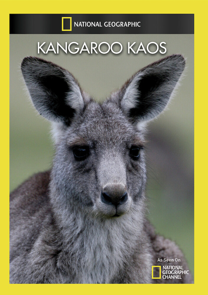 Kangaroo Kaos