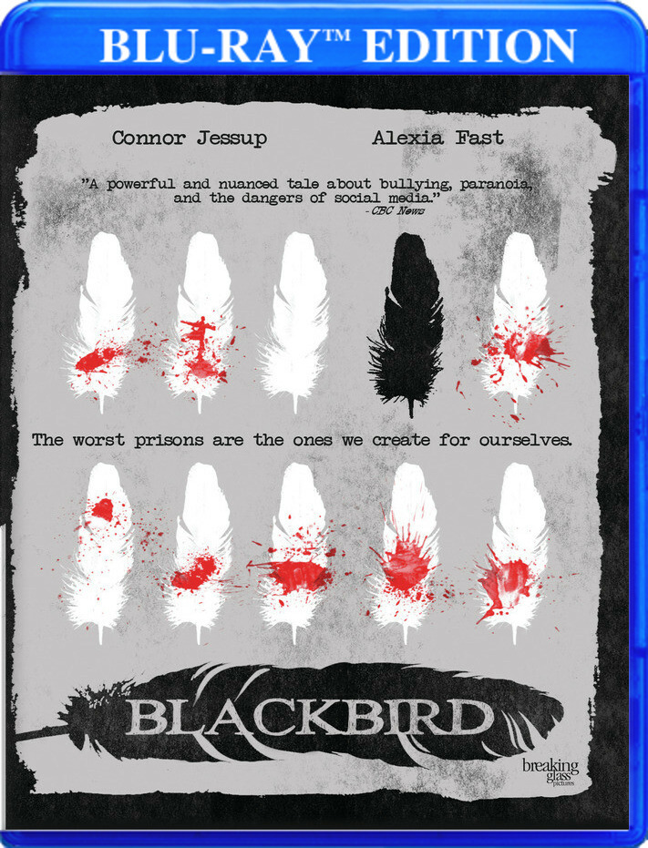 Blackbird(bd)