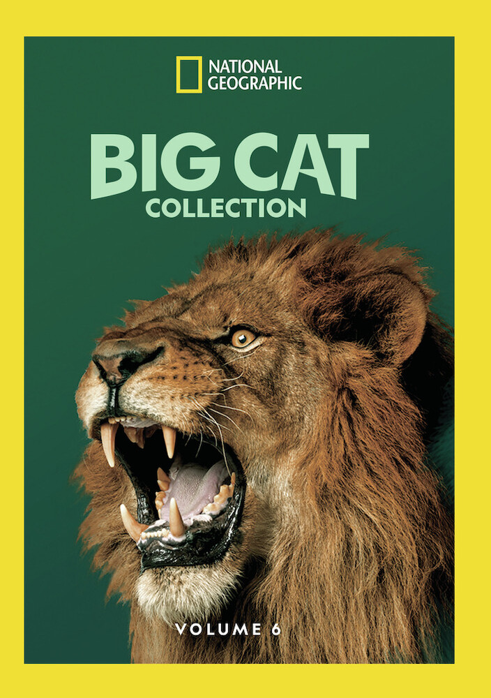 Big Cat Collection - Volume 6