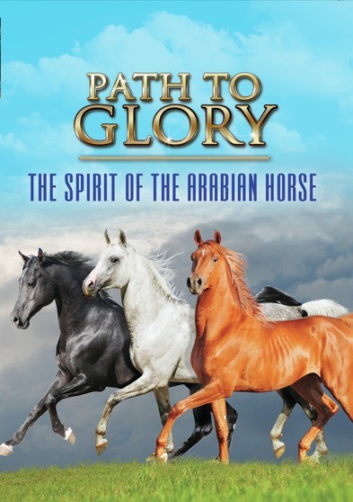 Path to Glory - The Spirit of the Arabian Horse
