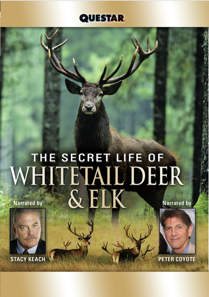 The Secret Life of Whitetail Deer and Elk