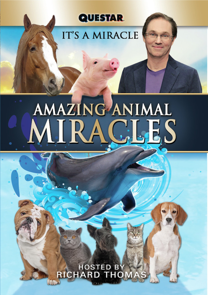 Amazing Animal Miracles