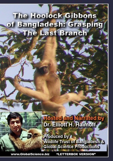 The Hoolock Gibbons  of Bangladesh: Grasping the Last Branch