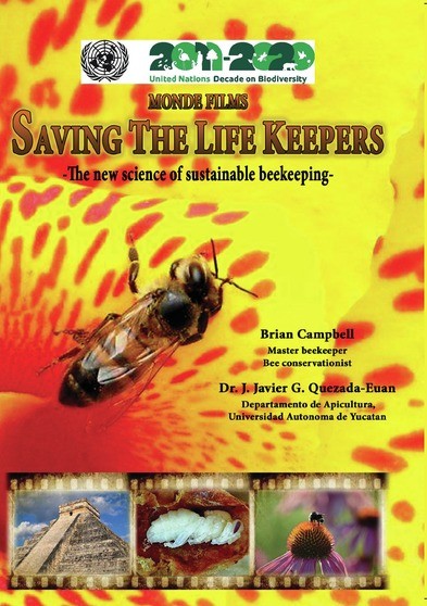 Saving the Lifekeepers: The New Science of Sustainable Beekeeping