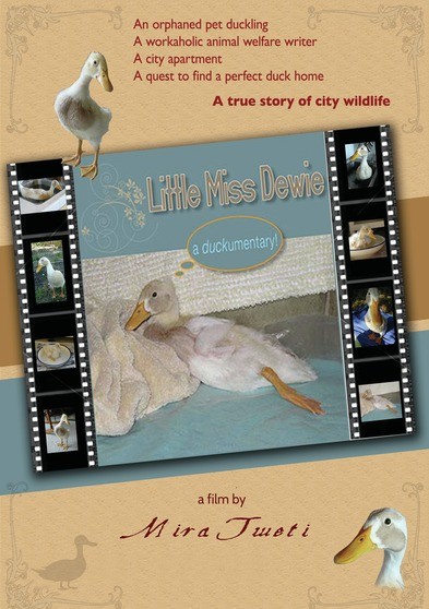 Little Miss Dewie: A DUCKumentary