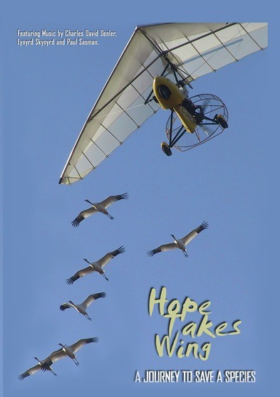 Hope Takes Wing