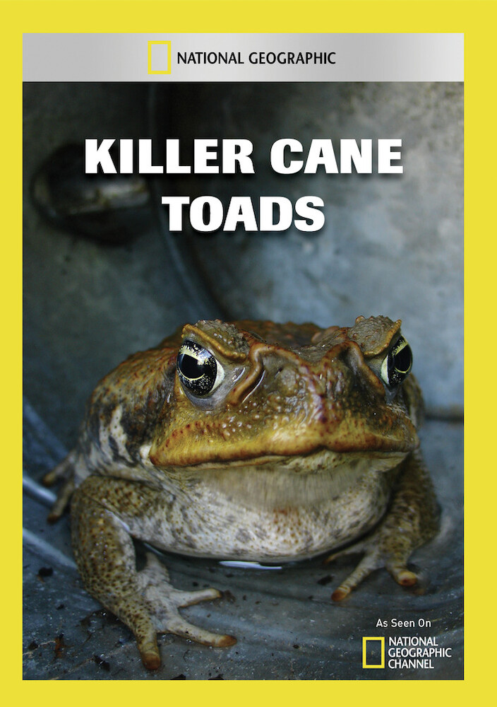 Killer Cane Toads