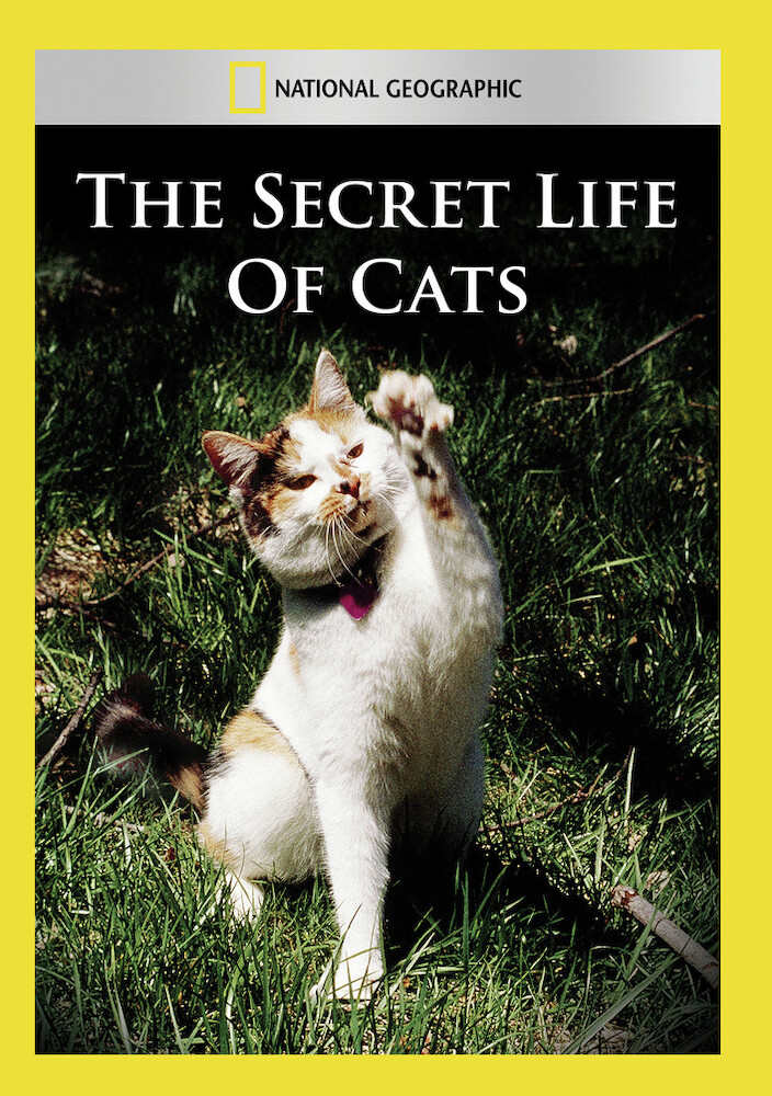 The Secret Life of Cats