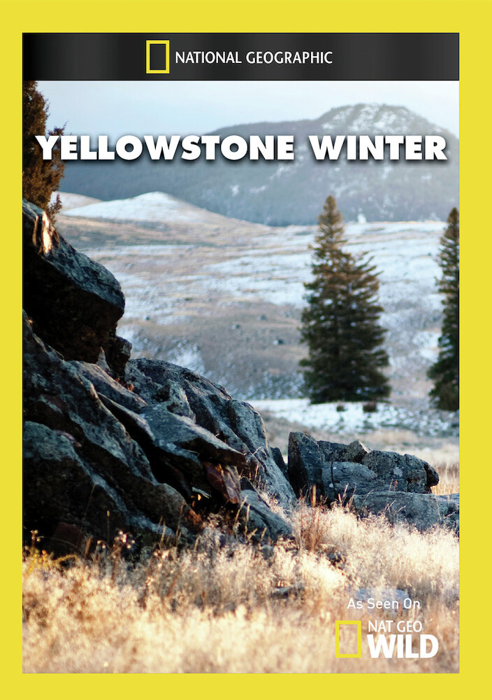 Yellowstone Winter