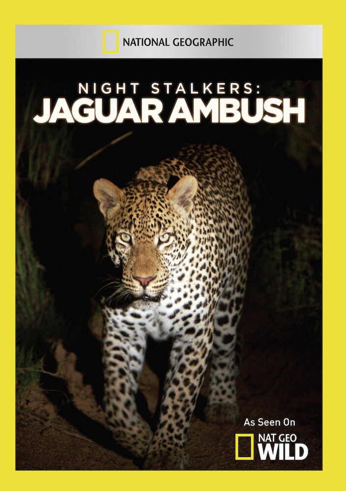 Night Stalkers: Jaguar Ambush