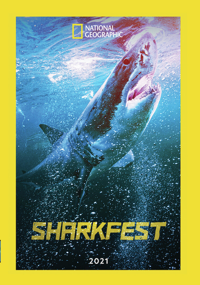 Sharkfest 2021