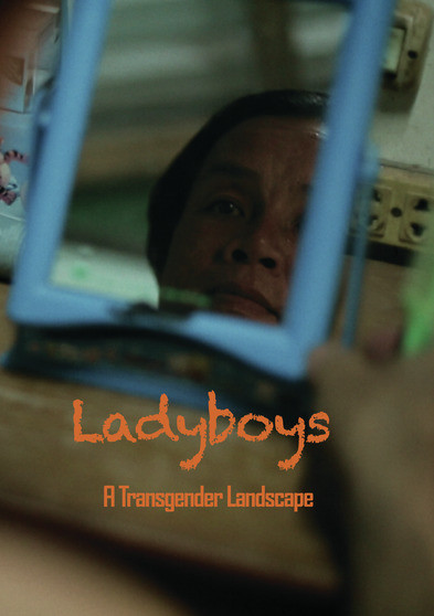 Ladyboys - A Transgender Landscape
