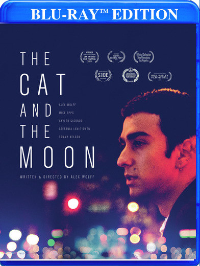 The Cat and the Moon 
