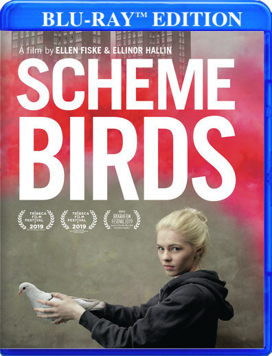 Scheme Birds 