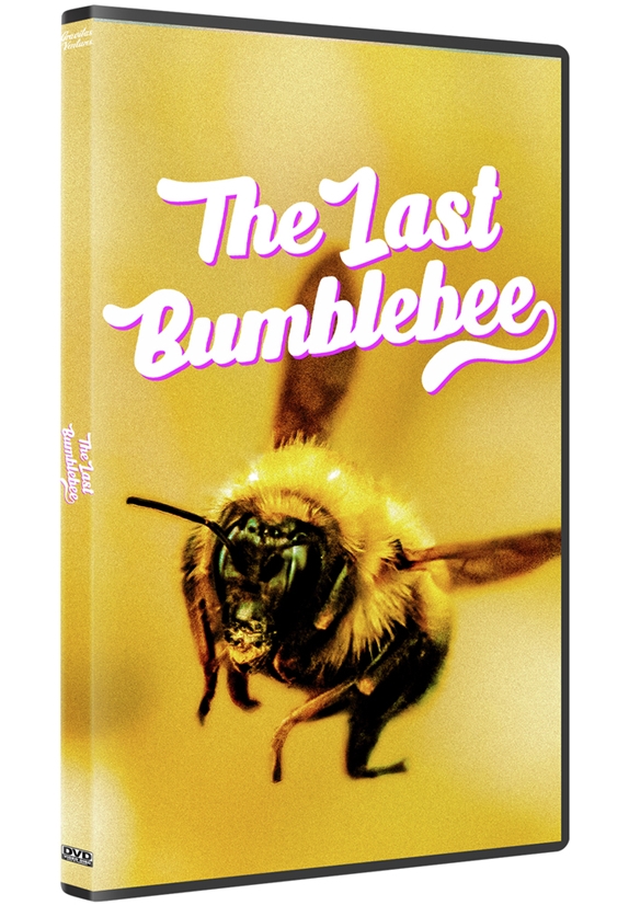 Last Bumblebee, The