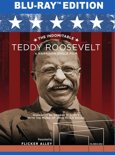 Indomitable Teddy Roosevelt 