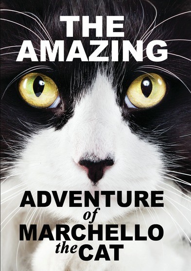 The Amazying Adventure of Marchello The Cat