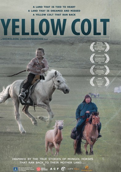 Mongolian Invasion - Yellow Colt