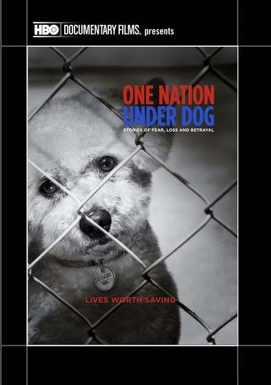 One Nation Under Dog: Stories of Fear Loss and Betrayal
