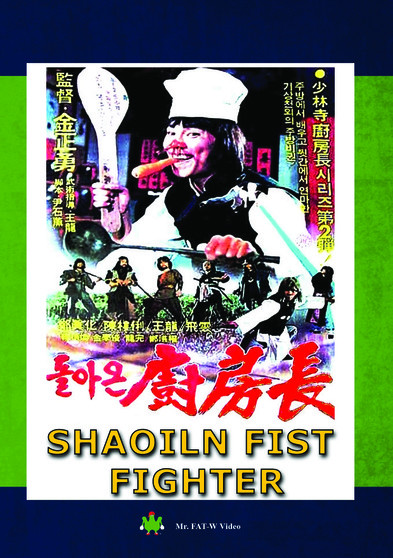 Shaoiln Fist Fighter